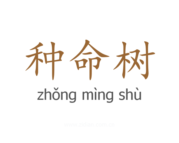 种命树