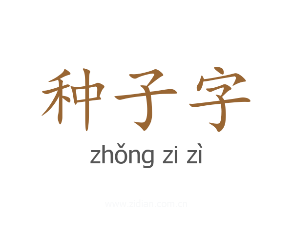 种子字