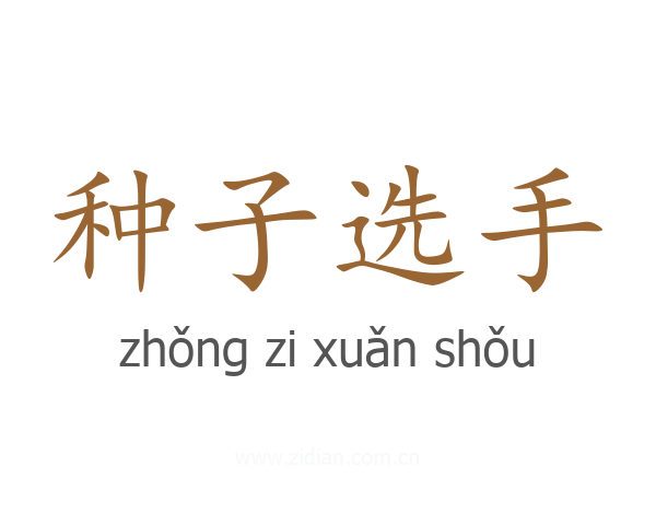 种子选手