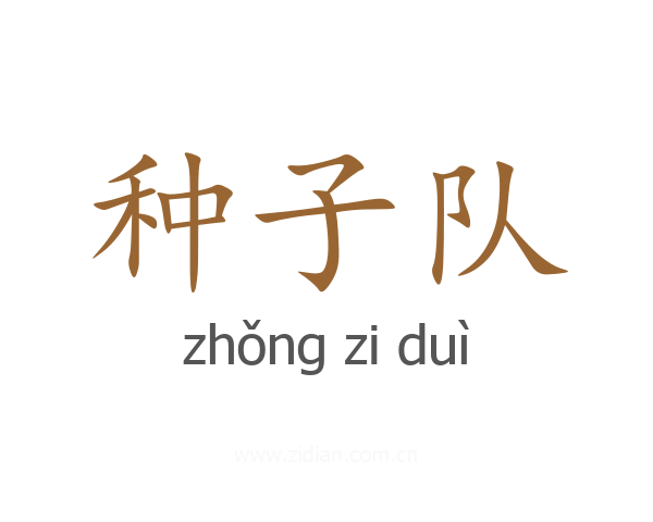 种子队