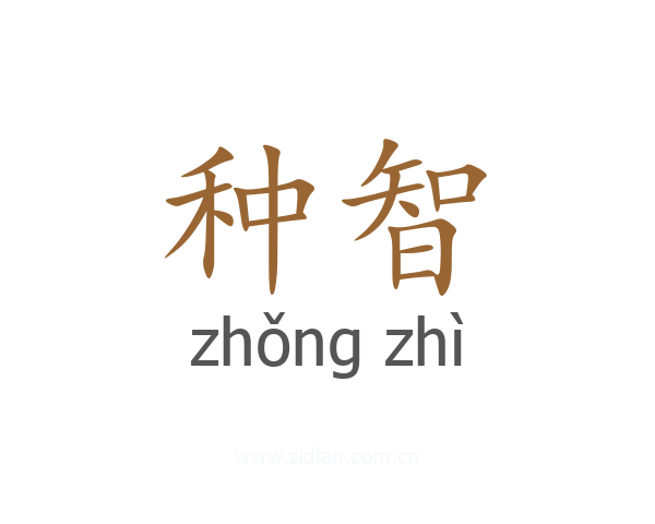 种智