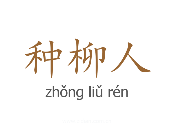 种柳人