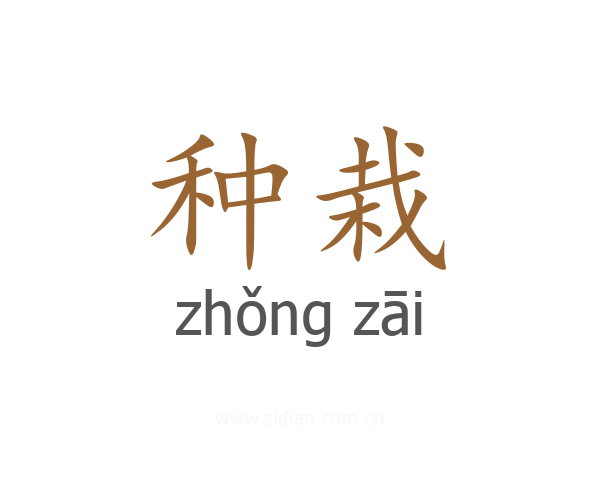 种栽