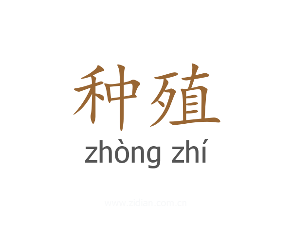 种殖