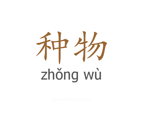 种物
