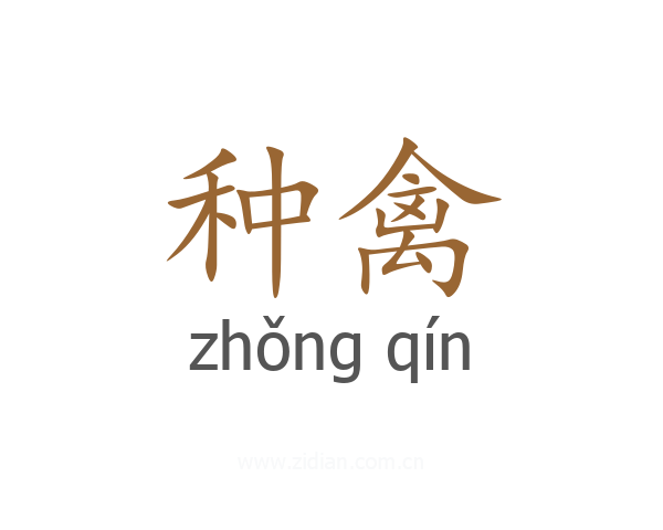 种禽
