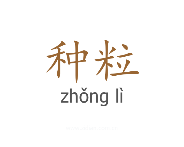 种粒
