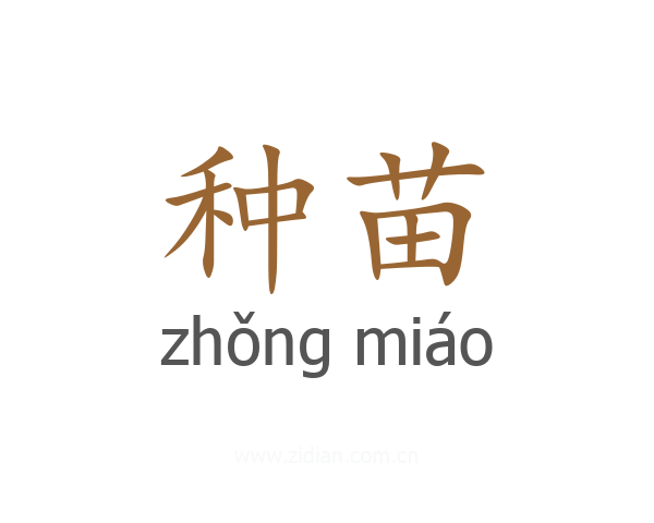 种苗