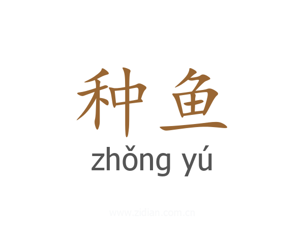 种鱼