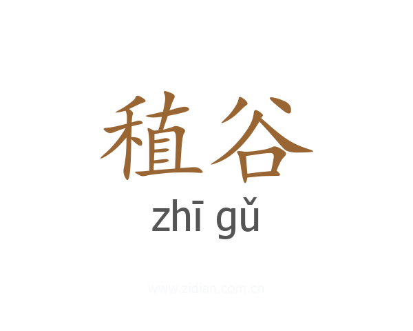 稙谷