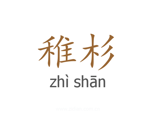 稚杉