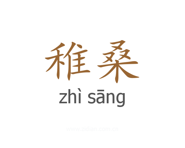 稚桑