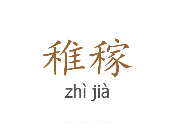 稚稼