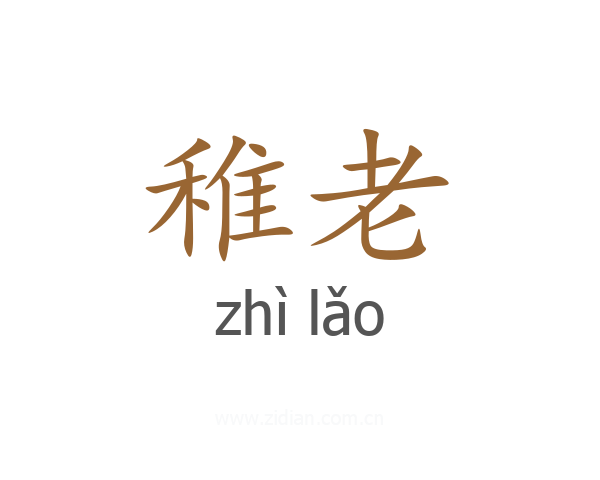 稚老