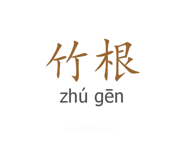 竹根