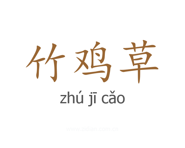 竹鸡草