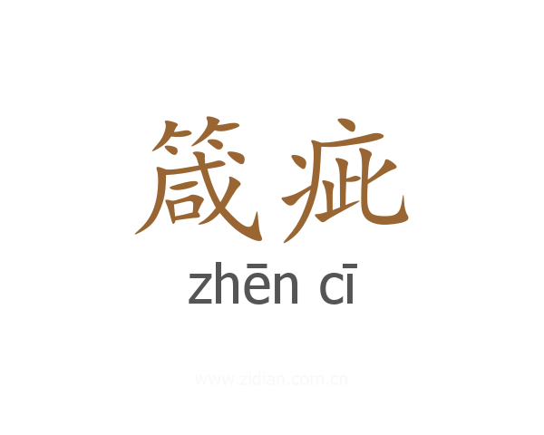 箴疵