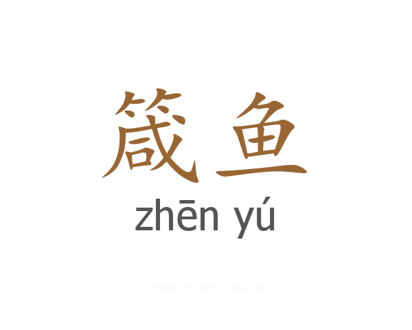 箴鱼