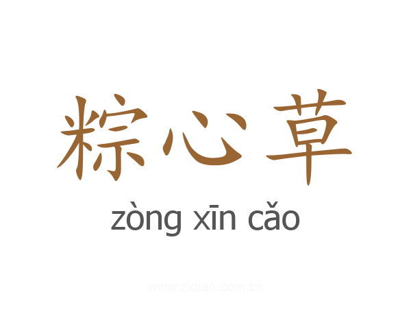粽心草