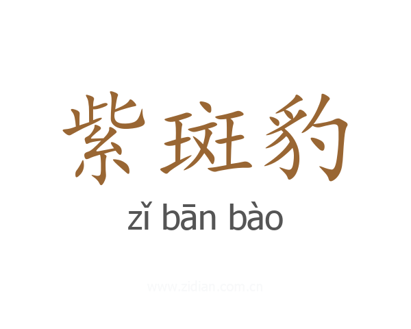 紫斑豹