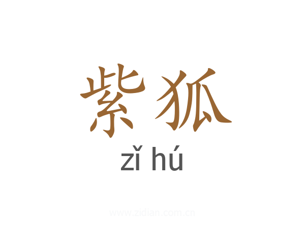 紫狐