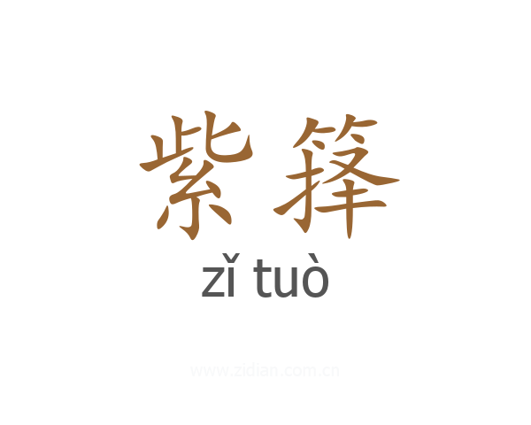 紫箨