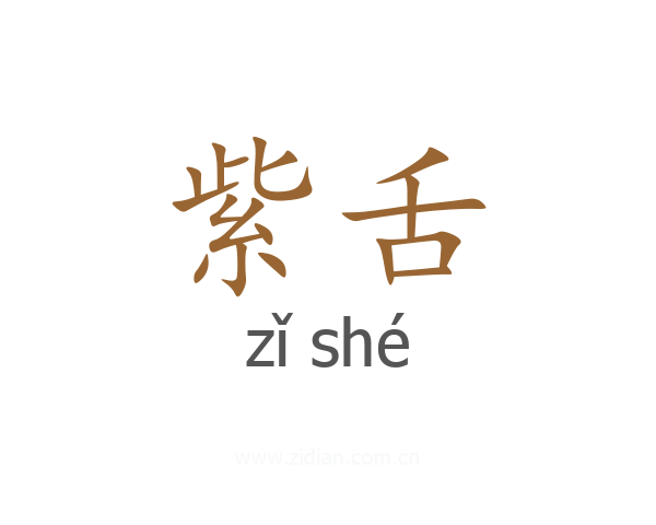 紫舌