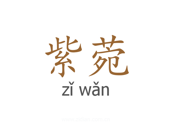 紫菀