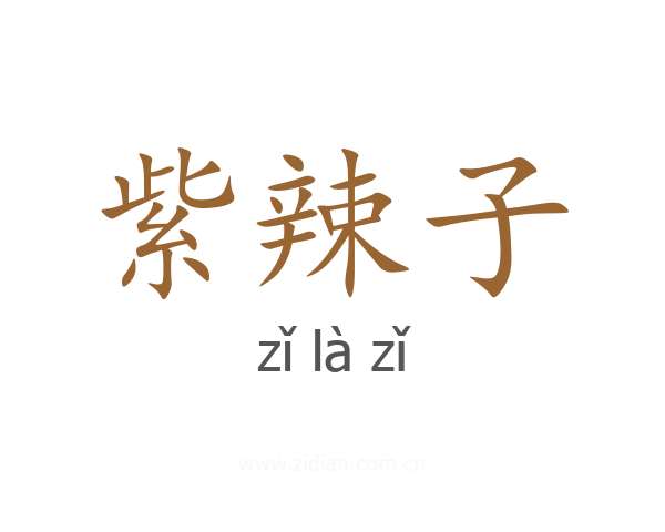 紫辣子