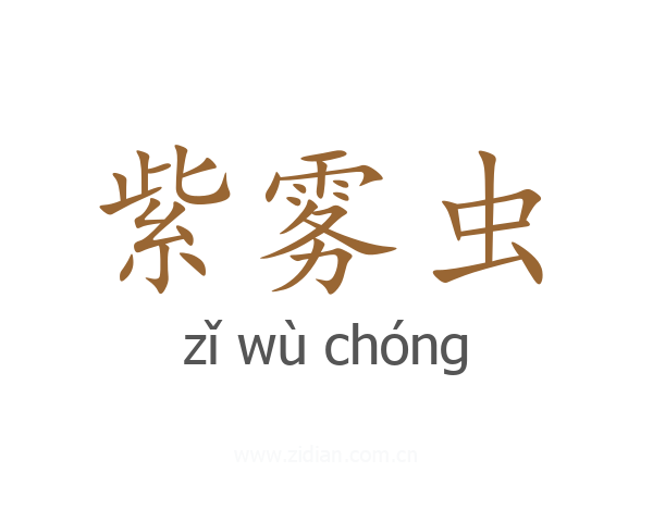 紫雾虫