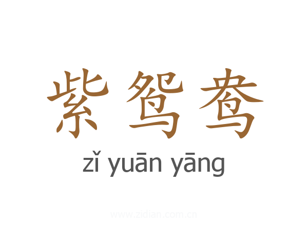 紫鸳鸯