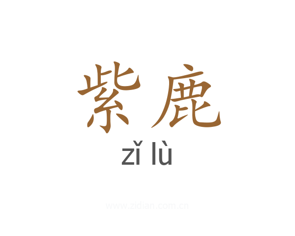 紫鹿