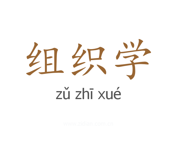 组织学