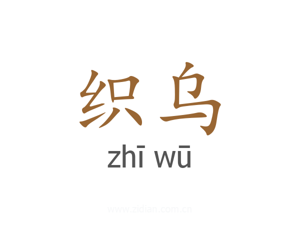 织乌