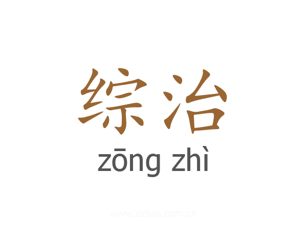 综治