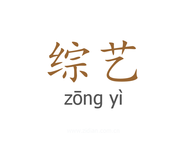 综艺