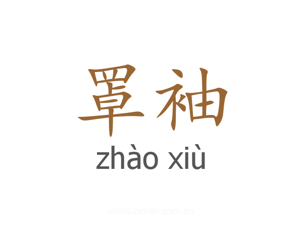 罩袖