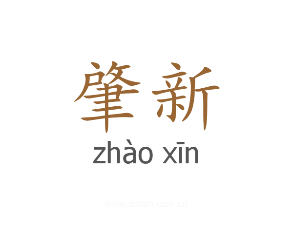 肇新