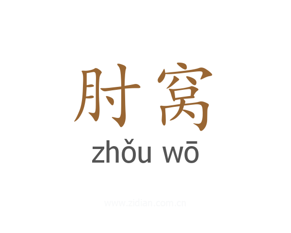 肘窝