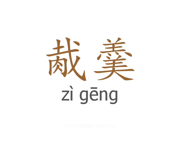 胾羹