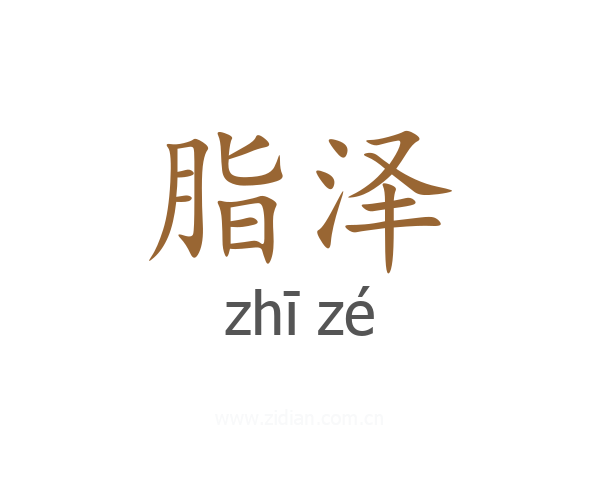 脂泽