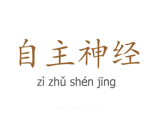 自主神经