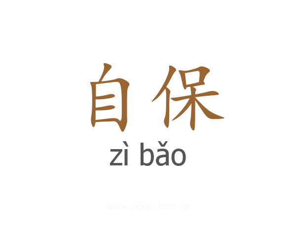 自保