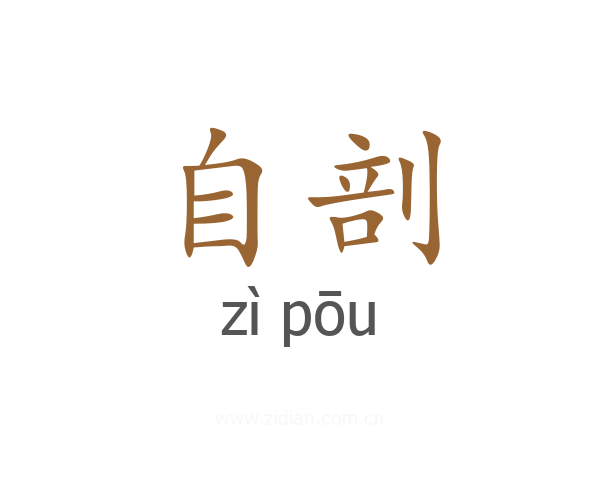 自剖