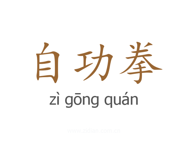 自功拳