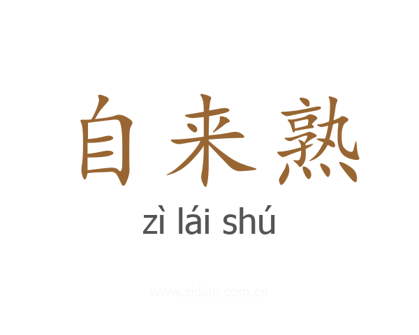 自来熟