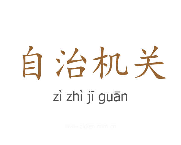 自治机关