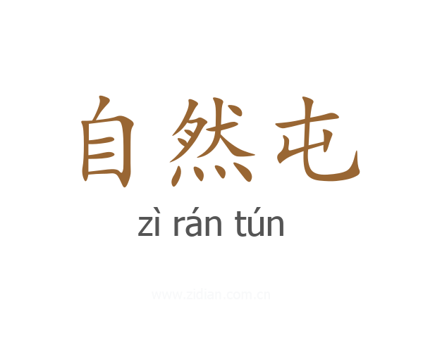 自然屯