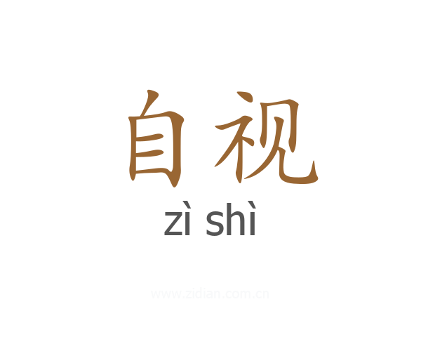 自视
