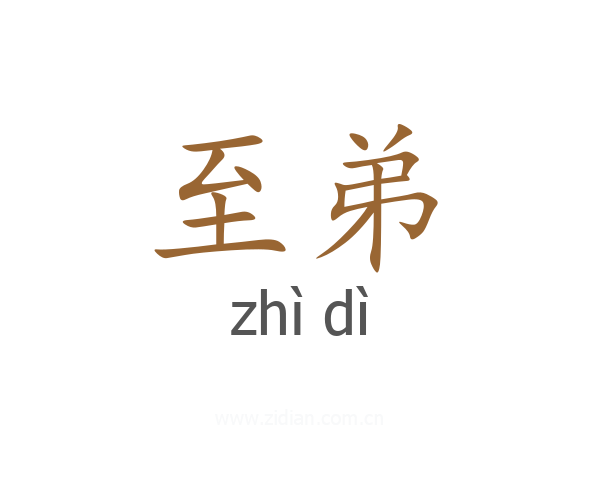 至弟